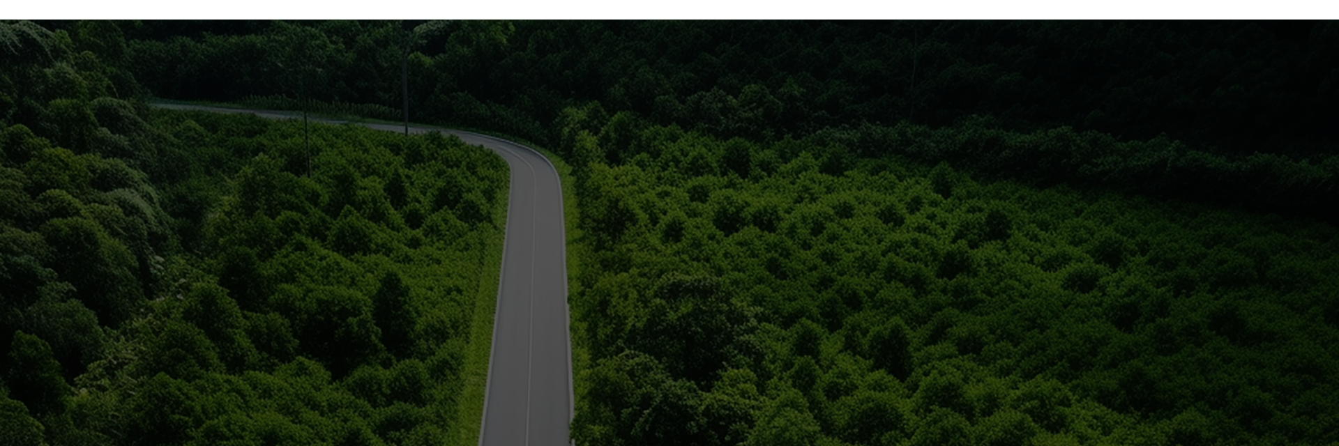 Cold Plastic Road Marking vs Thermoplastic